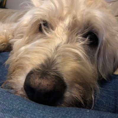 PbchChi's profile picture. Earthling: identify by my birth planet, not nation.I am on your side but it doesn’t mean I dont care about facts. Show me evidence. Oh, yes, I play Jazz.