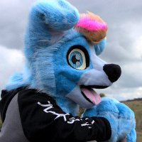 Kai ❤ (@kaithecollie) 's Twitter Profile