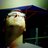carlosmrico's profile image