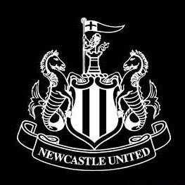 NUFC supporter…. Swings clubs @edenmore_club and will one day be a golfer 🤣🤣