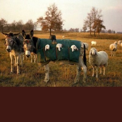 darockjohnson's profile picture. 