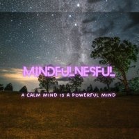 MIndfulnesful (@anieldanzot) 's Twitter Profile