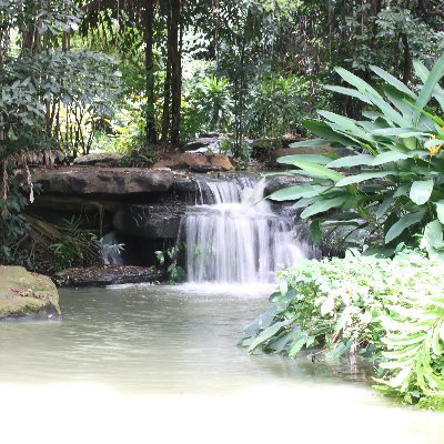 mrvic's profile picture. ไม่มีตัวตน