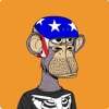 AntonR348's profile picture. A software tester trying to learn craft