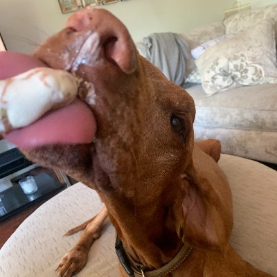 Bexleybloke's profile picture. Business Owner, Husband ,uncool Dad , better  golfer  than last year..., happy chappy :-) ☘️ EMTB'r (yes proper off road trails) ,  Qualified Yacht Skipper.