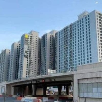فحل38سنه عماني موجود في بوظبي والعين