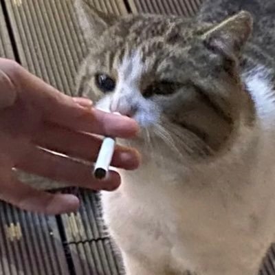 ydPt_ʕ•̫͡•ʔさんのプロフィール画像