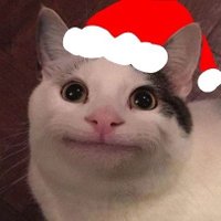 둥 (@dungnim1410) 's Twitter Profile