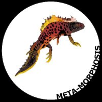 Meta-morphosis(@Kafka_project) 's Twitter Profile Photo