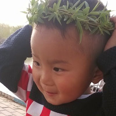rolling_plate's profile picture. 