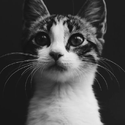 Sirawit22547975's profile picture. ื