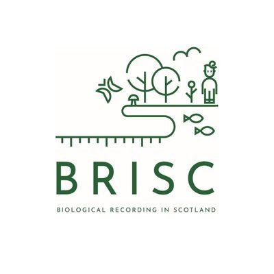 BRISC provides information & support on biological recording in Scotland, from training events to surveys to what's happening nationally. SC024418