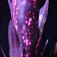 zbayasu (@zbayasu) 's Twitter Profile