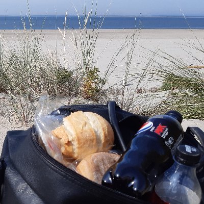 Experimented_On's profile picture. 