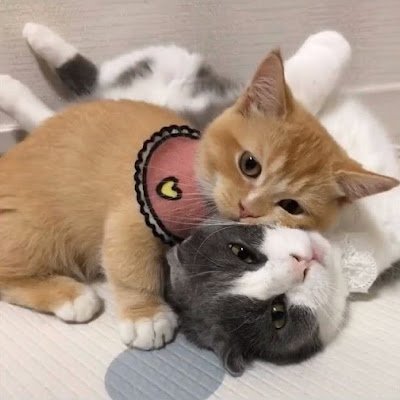 。