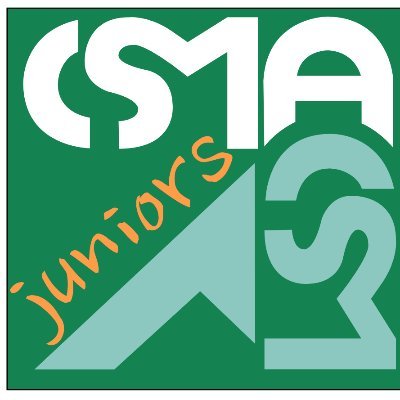 The CSMA juniors is a section of the French computational mechanics association CSMA for young researcher. Computer science and applied mechanics ++