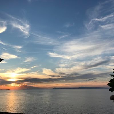 istanbulyasar's profile picture. 