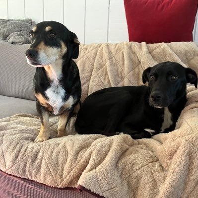 timbailey27's profile picture. My liberal friends think I’m too conservative and my conservative friends think I’m too liberal. I’m just happy to have friends.