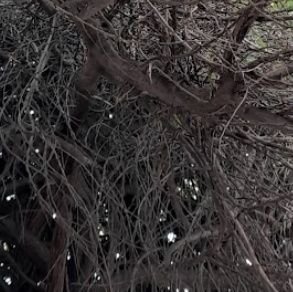 AditiSinh's profile picture. Get In the Game...

Project Coordinator at AICTE.