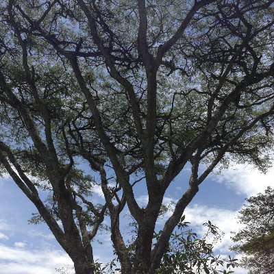 A mom, Amateur Photographer, Life Coach, English & Literature Tutor