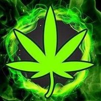Bryan Strozewski (@bryanstrozewski) 's Twitter Profile