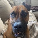 Mark Engle - @MarkEng22362161 - Twitter