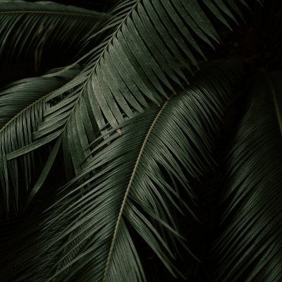 bond_ultimate's profile picture. 