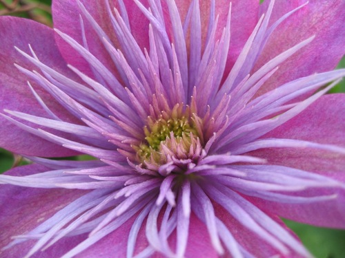 Ennoia12's profile picture. 