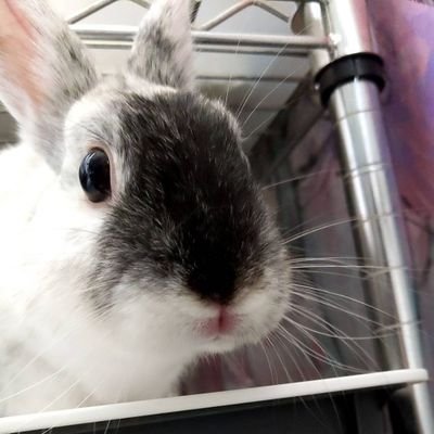 SannOttu's profile picture. 