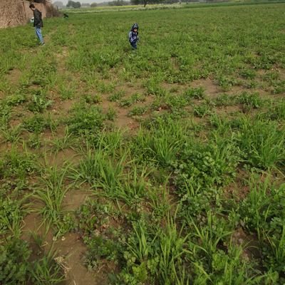 ashutosh_92022's profile picture. 