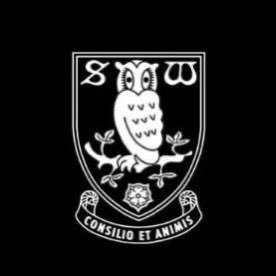 wednesday till i die #swfc #swfcrmassive #owls #owlsonline #owls4eva