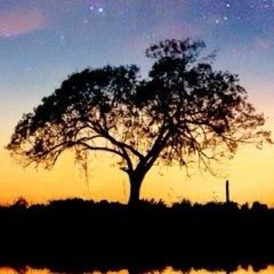 fly2univ's profile picture. hello,twitter