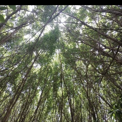 melikecetinn7's profile picture. 