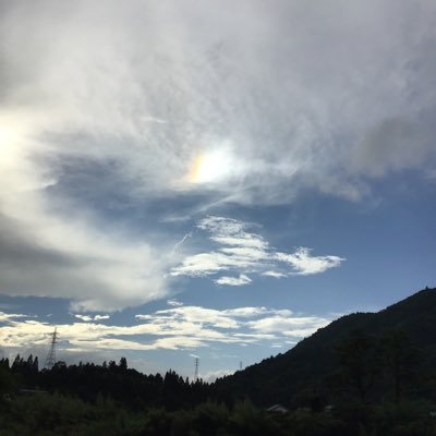 answer_dani's profile picture. 