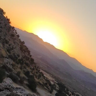 Mardinguzellik's profile picture. 47li