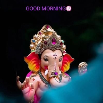 Gangadh33201166's profile picture. 