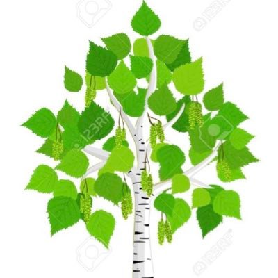 birchclassHFS's profile picture.