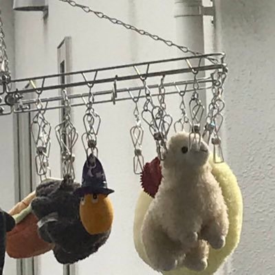 yurcn's profile picture. iPhoneのシャッター音が大きい