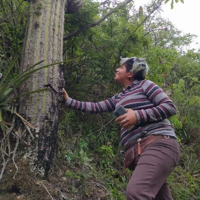 Candelaes7's profile picture. 