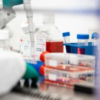 Physiopharmacology Research Group (@physphar) 's Twitter Profile