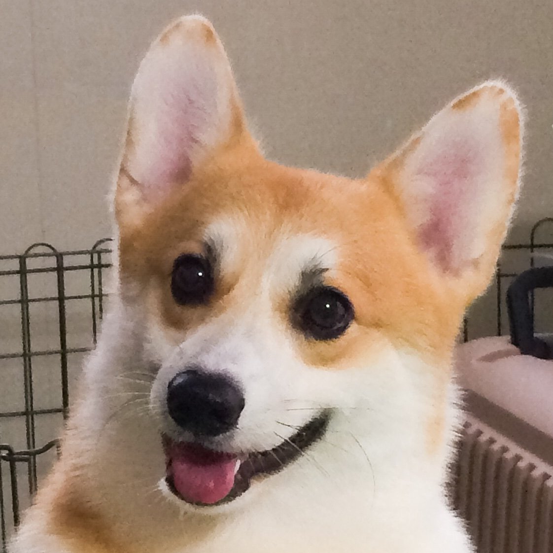 Tomozohさんのプロフィール画像