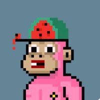 0xjoer (@0xjoer) 's Twitter Profile