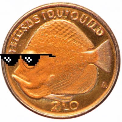 quarterflounder Profile Picture