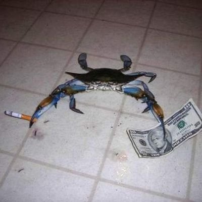 Neyir_guy42's profile picture. i exist apparently