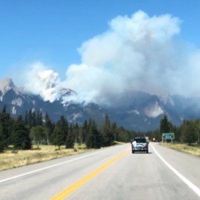 JoelAlo52814746's profile picture. 