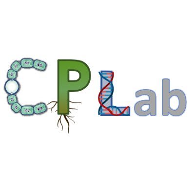 CPLab_IBVF Profile Picture