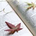 Terry Bowers - @TerryBowers - Twitter