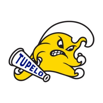 The official Twitter of Tupelo High School ... Where Excellence Is Tradition. #GoWave! 🌊