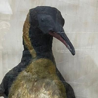 21 | he/it | t4t | lesbian
moved to nyrocidae @ bluesky
