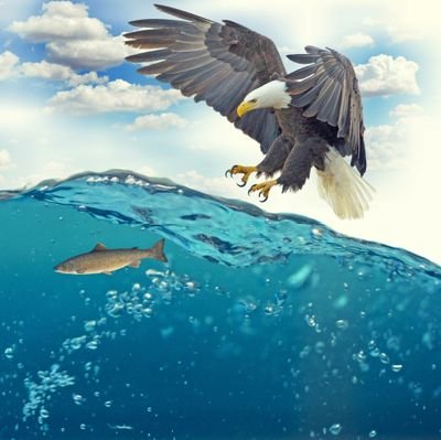 GreenBl76613006's profile picture. 